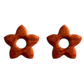 Sassy Stars Terracotta